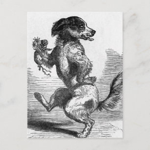 "Dog Dancing a Jig" Vintage Illustration Postcard