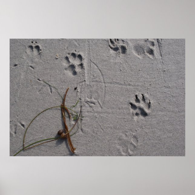 Dog-Day Afternoon Poster (Front)