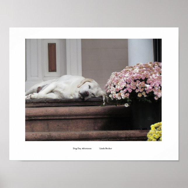Dog Day Afternoon Print (Front)