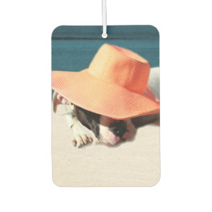 Dog Days of Summer at the Seashore Car Air Freshener