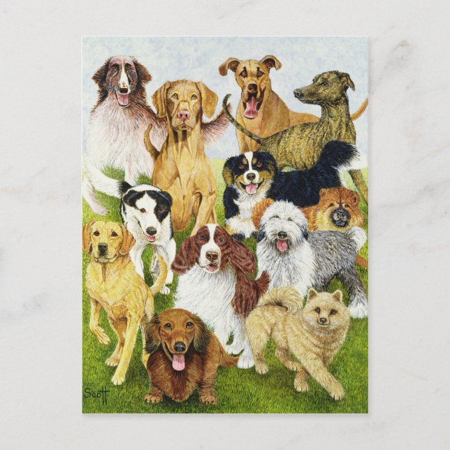 Dog Days Postcard (Front)