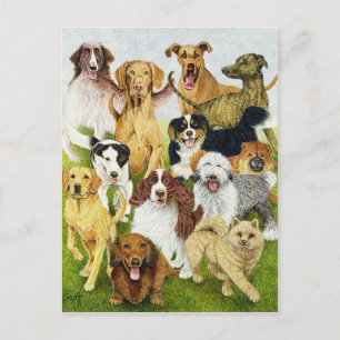 Dog Days Postcard