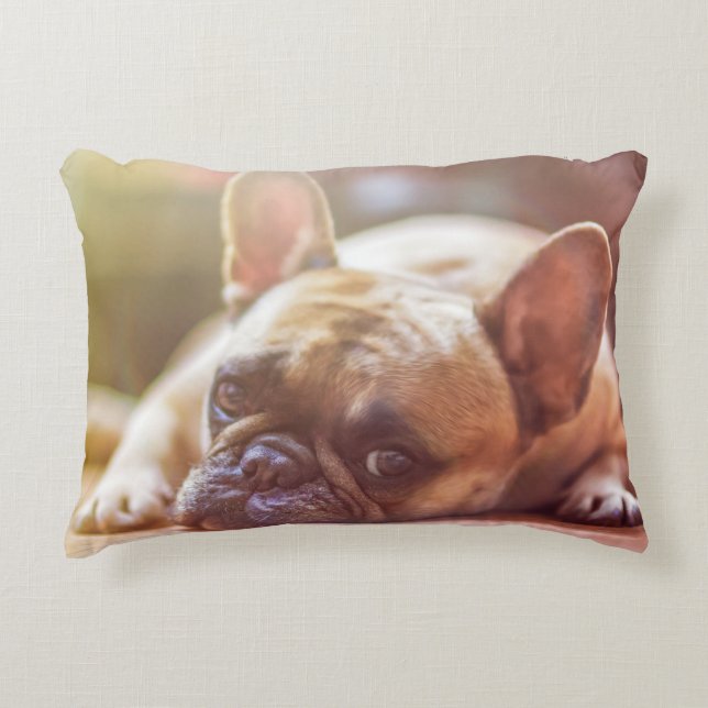 dog decorative cushion (Front)