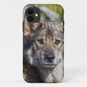Dog Designs for Pet-lovers iPhone 11 Case