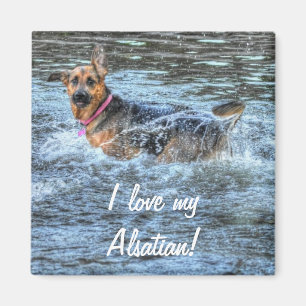 Dog Designs for Pet-lovers Magnet