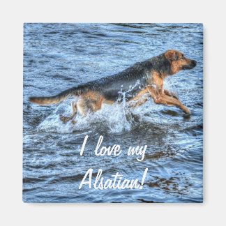 Dog Designs for Pet-lovers Magnet