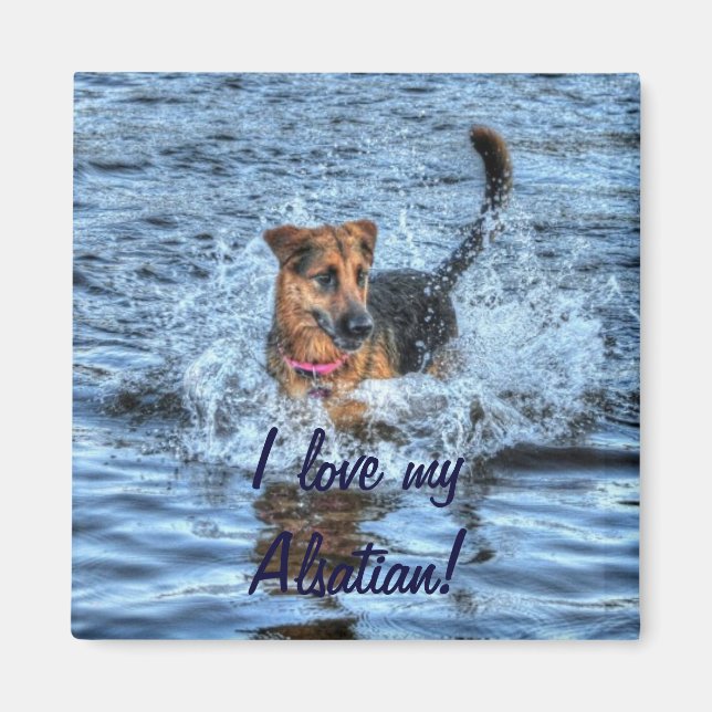 Dog Designs for Pet-lovers Magnet (Front)