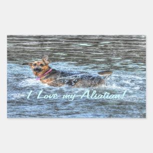 Dog Designs for Pet-lovers Rectangular Sticker