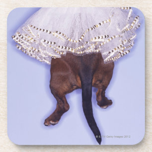 Dog dressed up coaster