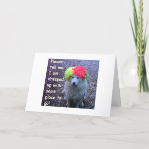 DOG DRESSED UP TO GO CELEBRATE YOUR "30TH" B-DAY CARD