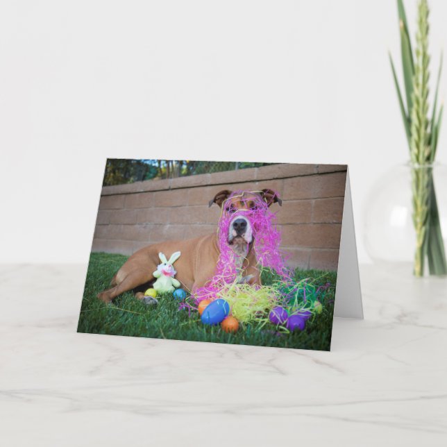 Dog Easter Card (Front)