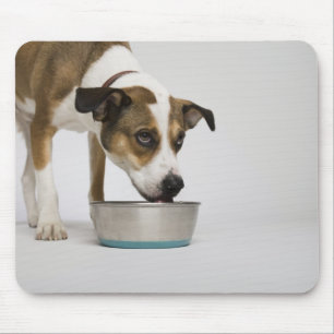 Dog eating from bowl mouse mat