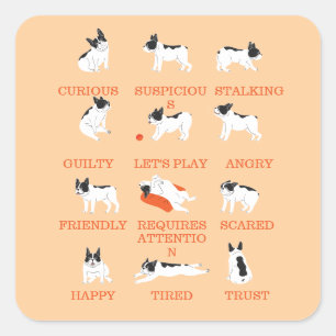dog emotion  square sticker