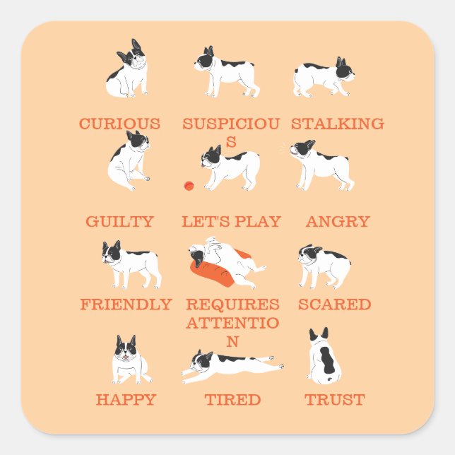 dog emotion  square sticker (Front)