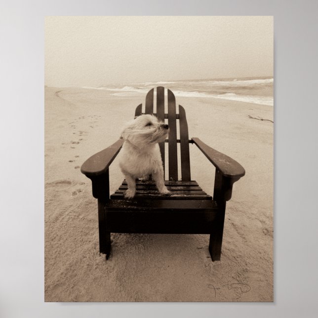 Dog Enjoying the Beach Poster (Front)