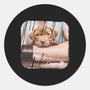 Dog Ever Pets Modern Nge Cool Photo Paw T Shirt  Classic Round Sticker