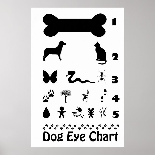Dog Eye Chart Poster (Front)