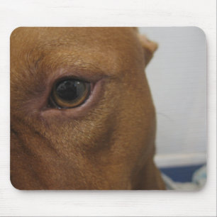 Dog eye mouse mat