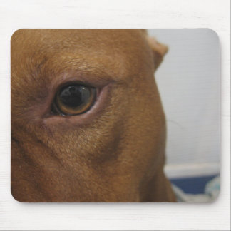 Dog eye mouse mat