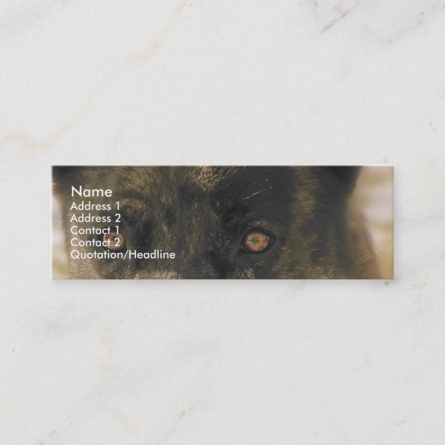 Dog Eyes Mini Business Card (Front)