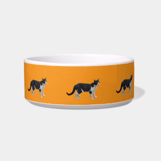 dog feed bowl