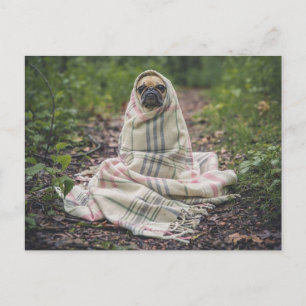 Dog feel the cold postcard
