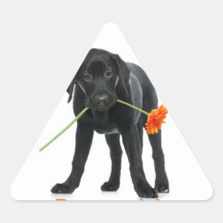 dog/flower sticker