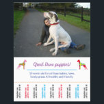 dog flyer template printable<br><div class="desc">And still no flyer? Or no idea, where there are one? Here for example, in different formats comes he can be adapted immediately then to you. Back can be arranged with a photo or the Doggenmuster shown, then the flyer is not Schandfleck if it on glass area is attached, where...</div>