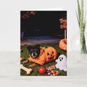 Dog Folded Greeting Card