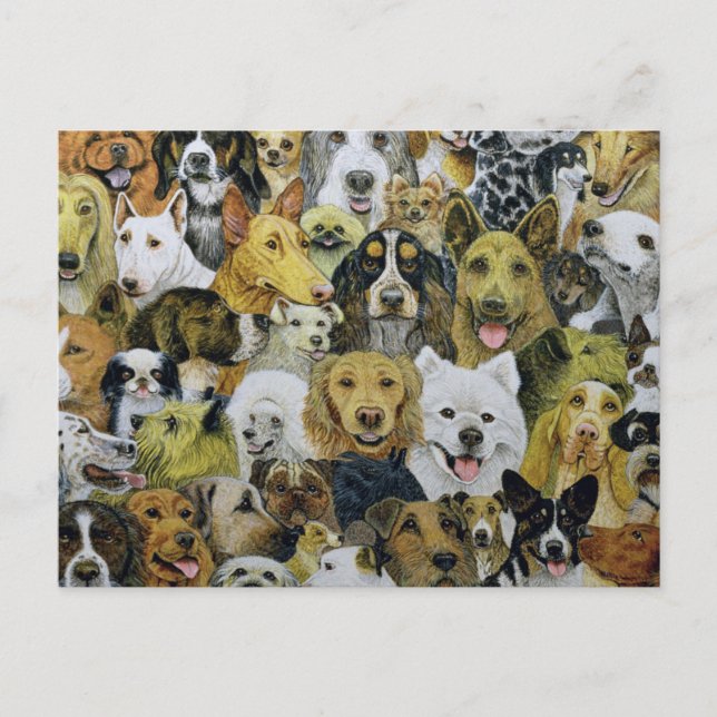Dog Friends Postcard (Front)