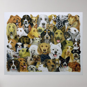Dog Friends Poster
