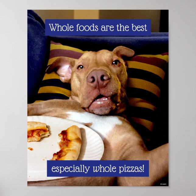 Dog Full Of Pizza Poster (Front)