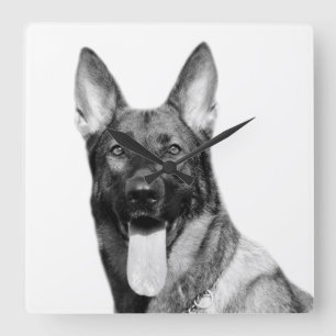 Dog german shepherd animal pet photo black white square wall clock