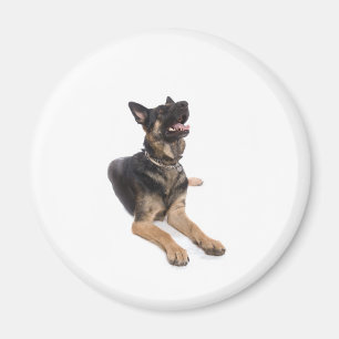 dog - german shepherd magnet
