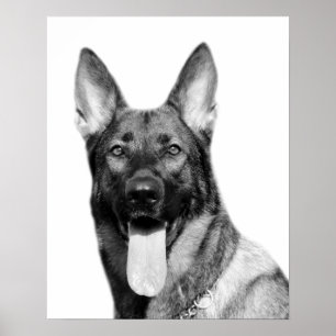 Dog german shepherd pet animal photo black white poster