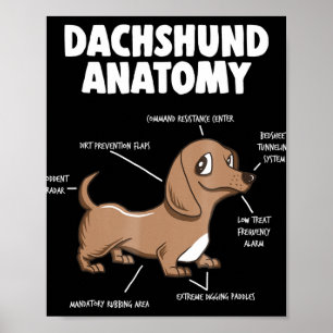 Dog Gift   Anatomy Dachshund  Funny Weiner Poster