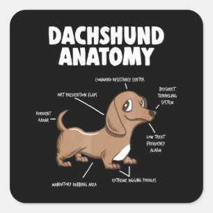 Dog Gift Anatomy Dachshund Funny Weiner Square Sticker