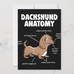 Dog Gift   Anatomy Dachshund  Funny Weiner Thank You Card