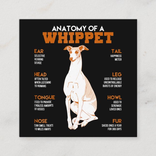 Dog Gift | anatomy of a whippet dogs t  funny gift Square Business Card (Front)