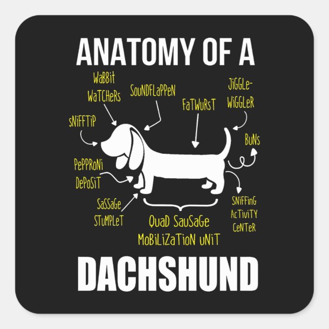 Dog Gift | Anatomy Of Dachshund Square Sticker (Front)