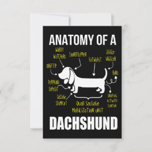 Dog Gift Anatomy Of Dachshund Thank You Card