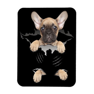 Dog Gift French Bulldog Puppy Gift Magnet