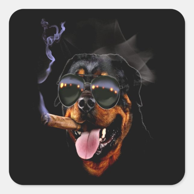 Dog gift | Little rottweiler buddy Square Sticker (Front)
