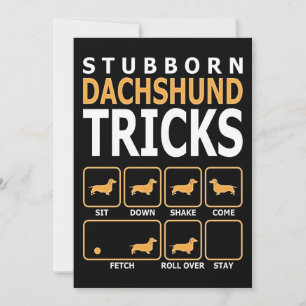 Dog Gift Stubborn Dachshund Tricks Thank You Card