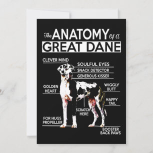 Dog Gift   The Anatomy Of A Great Dane Thank You Card