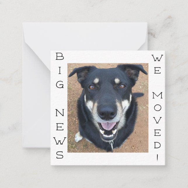 Dog gone HAPPY! Postcard (Front)