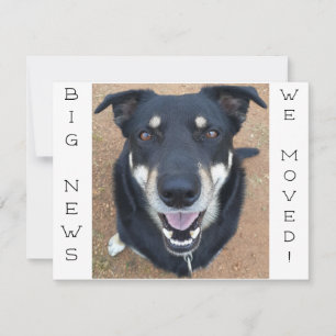 Dog gone HAPPY! Postcard