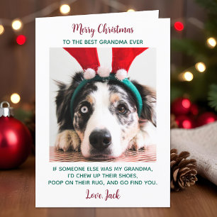 Dog Grandma Funny Custom Pet Photo Merry Christmas Holiday Card