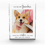 Dog Grandma Personalised Pet Picture Photo Block<br><div class="desc">Happy Birthday the the best dog grandma ever ! Give Grandma a cute and funny personalised pet photo plaque from her best grandchild, the dog! "You Are The Grandma Every Dog Wishes They Had " Personalise with your special message, the dog's name & favourite photo. This dog grandma plaque is...</div>