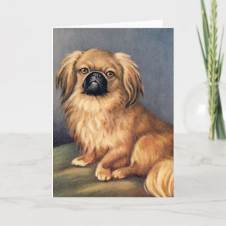 Dog greetings card